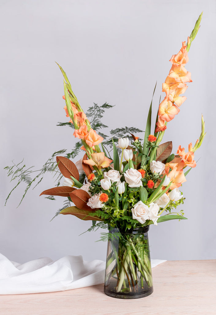 الحلم الاستوائي