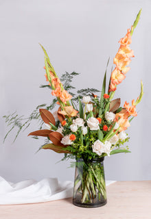 الحلم الاستوائي