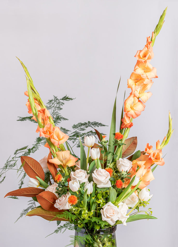 الحلم الاستوائي